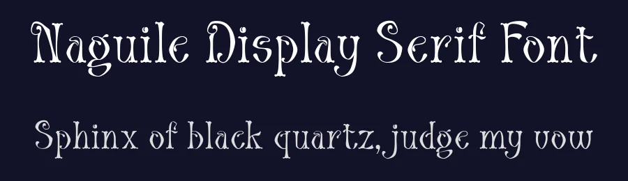 Naguile Display Serif Font by TypeClassHeroes — Display Font — thumbnail 2