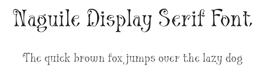 Naguile Display Serif Font by TypeClassHeroes — Display Font