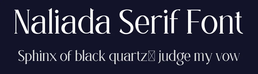 Naliada Serif Font by wibisono2001 — Serif Font — thumbnail 2