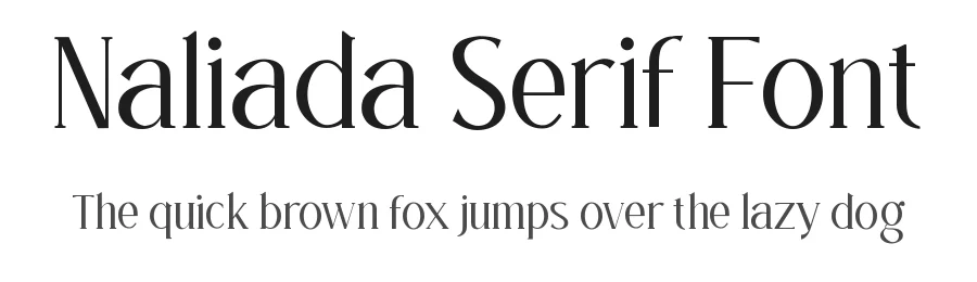 Naliada Serif Font by wibisono2001 — Serif Font