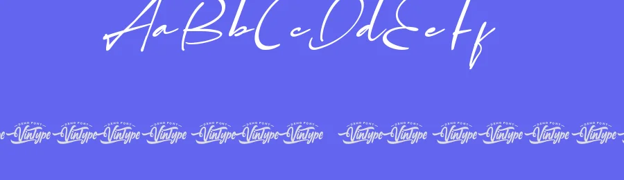 Namora Dayana Font by VinType — Script Handwritten Font — thumbnail 3