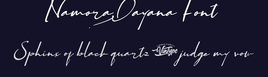 Namora Dayana Font by VinType — Script Handwritten Font — thumbnail 2