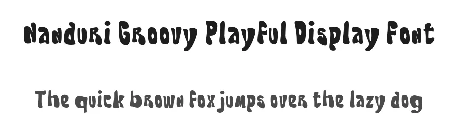 Nanduri Groovy Playful Display Font by Mei Suseno — Decorative Font