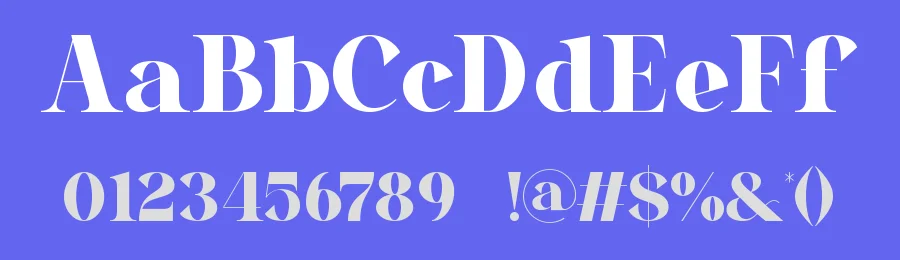 Naolen || Modern Elegant Serif Font by ErmediaStudio — Display Font — thumbnail 3