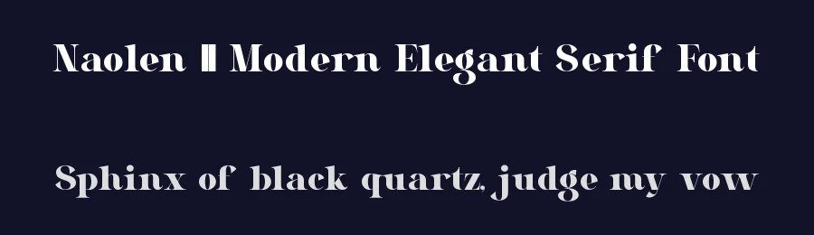 Naolen || Modern Elegant Serif Font by ErmediaStudio — Display Font — thumbnail 2
