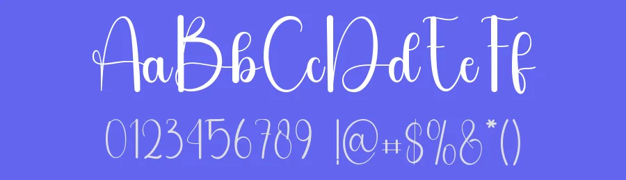 Napkins Script Font by freshtypeink — Script Handwritten Font — thumbnail 3