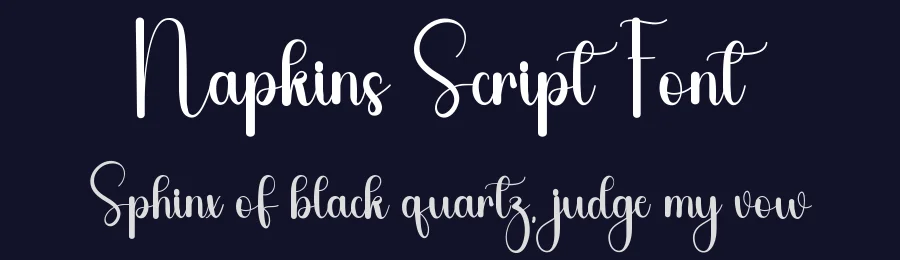 Napkins Script Font by freshtypeink — Script Handwritten Font — thumbnail 2