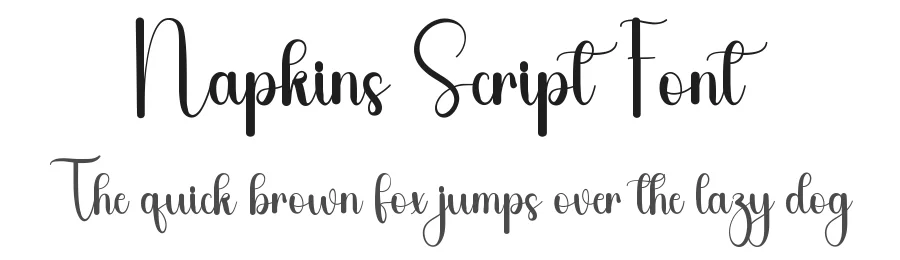 Napkins Script Font by freshtypeink — Script Handwritten Font