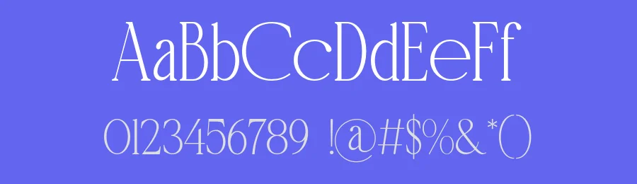 Napolyo Serif Font by ErmediaStudio — Serif Font — thumbnail 3
