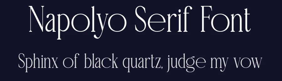 Napolyo Serif Font by ErmediaStudio — Serif Font — thumbnail 2