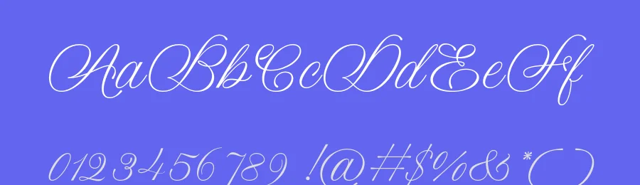 Narianna Calligraphy Font by Objectype Studio — Script Handwritten Font — thumbnail 3