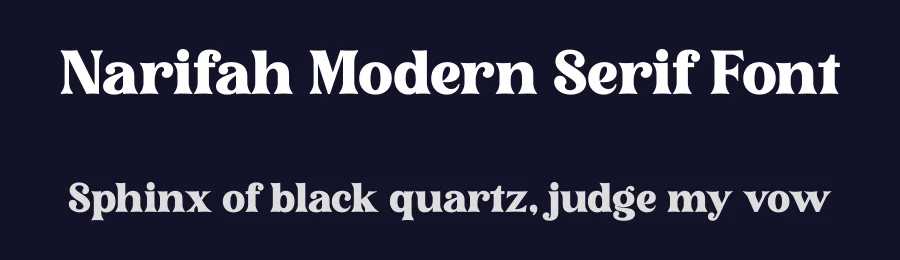 Narifah Modern Serif Font by Storytype — Decorative Font — thumbnail 2