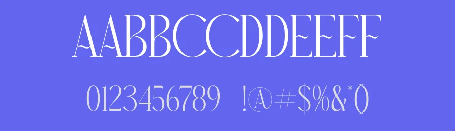 Narque Holden Gold Font Duo by Storytype — Serif Font — thumbnail 3