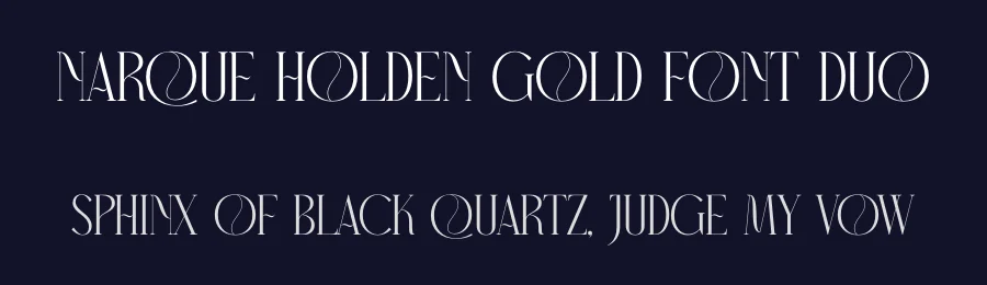 Narque Holden Gold Font Duo by Storytype — Serif Font — thumbnail 2