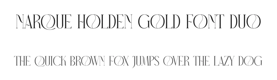 Narque Holden Gold Font Duo by Storytype — Serif Font