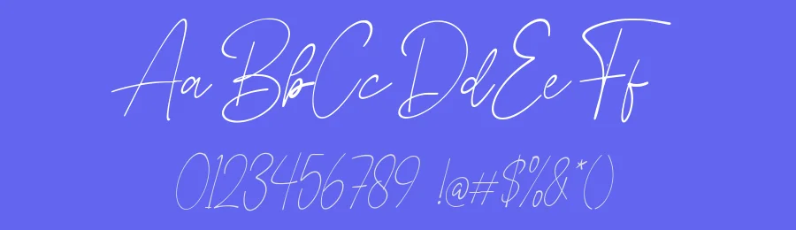 Natacha – Modern Signature Script Font by Funtype — Serif Font — thumbnail 3