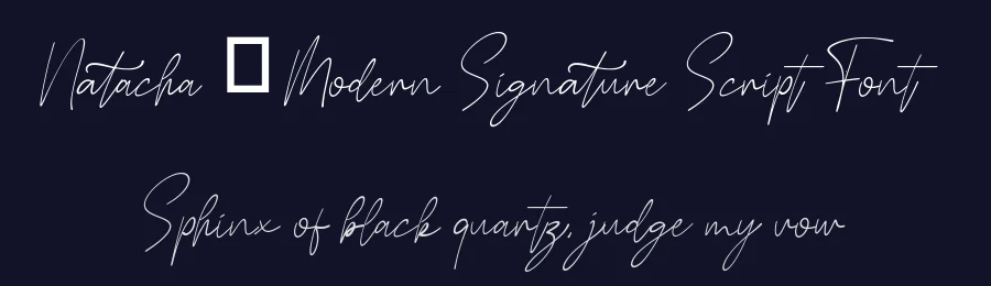 Natacha – Modern Signature Script Font by Funtype — Serif Font — thumbnail 2