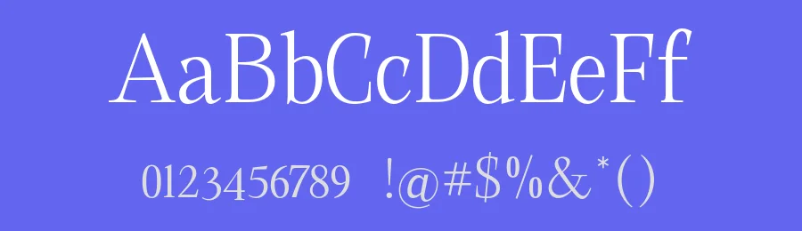 Native Txt Font by XdCreative — Serif Font — thumbnail 3