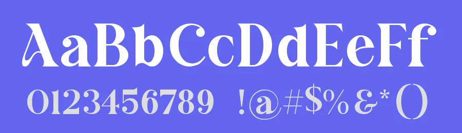 Natline Modern Serif Font by ErmediaStudio — Serif Font — thumbnail 3