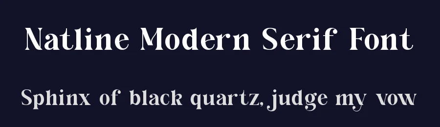 Natline Modern Serif Font by ErmediaStudio — Serif Font — thumbnail 2