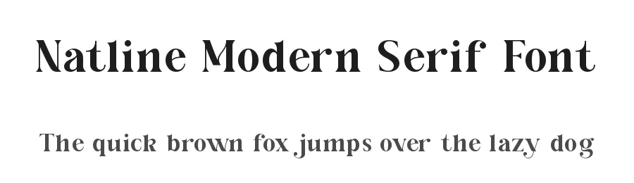 Natline Modern Serif Font by ErmediaStudio — Serif Font