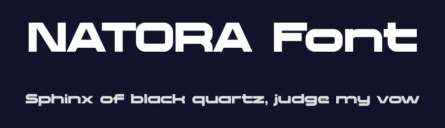 NATORA Font by Rautan Studio — Display Font — thumbnail 2