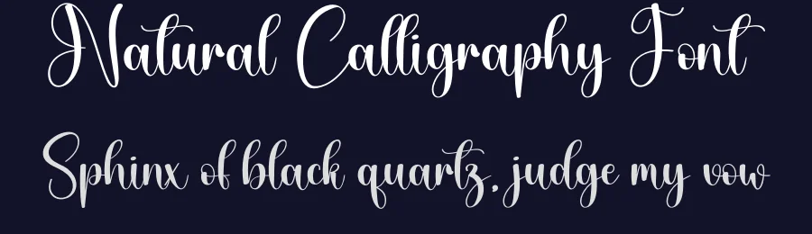 Natural Calligraphy Font by andikastudio — Script Handwritten Font — thumbnail 2