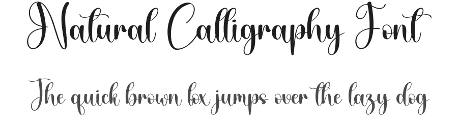 Natural Calligraphy Font by andikastudio — Script Handwritten Font