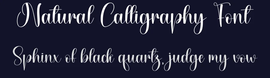 Natural Calligraphy Font by andikastudio — Script Handwritten Font — thumbnail 2