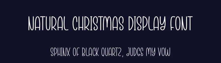 Natural Christmas Display Font by creativeletter — Display Font — thumbnail 2