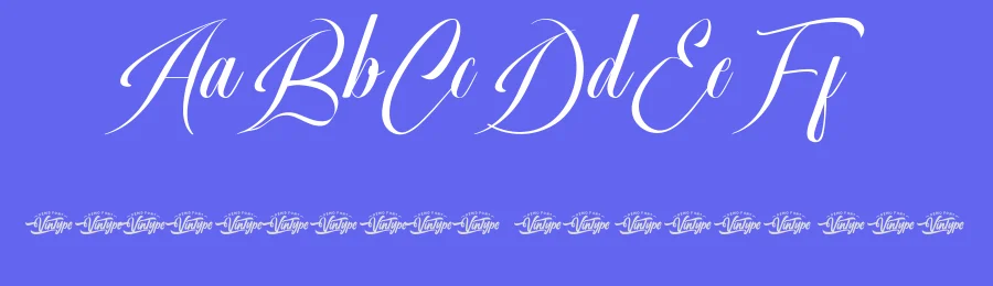 Natural Diamond Font by VinType — Script Handwritten Font — thumbnail 3