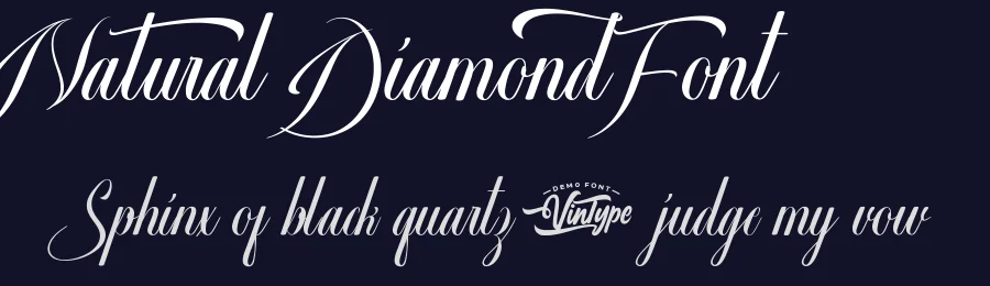 Natural Diamond Font by VinType — Script Handwritten Font — thumbnail 2