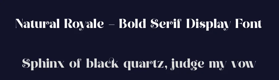 Natural Royale – Bold Serif Display Font by timelesstype.co — Display Font — thumbnail 2
