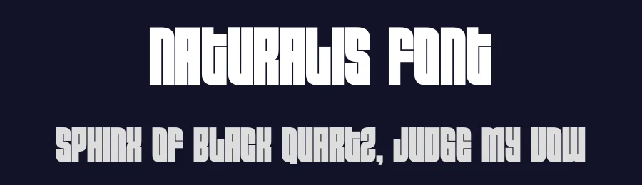 Naturalis Font by Funtype — Decorative Font — thumbnail 2
