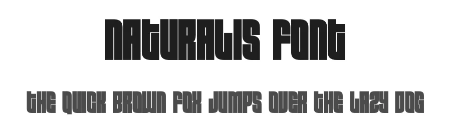 Naturalis Font by Funtype — Decorative Font