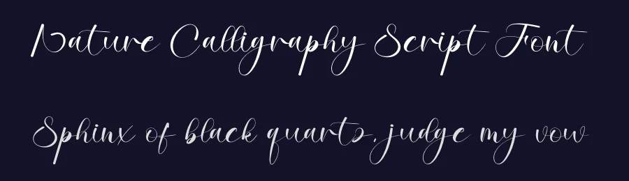 Nature Calligraphy Script Font by creativeletter — Script Handwritten Font — thumbnail 2