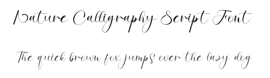 Nature Calligraphy Script Font by creativeletter — Script Handwritten Font
