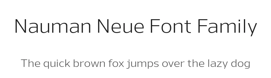 Nauman Neue Font Family by The Northern Block — Sans Serif Font