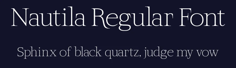 Nautila Regular Font by Daytona Mess — Serif Font — thumbnail 2