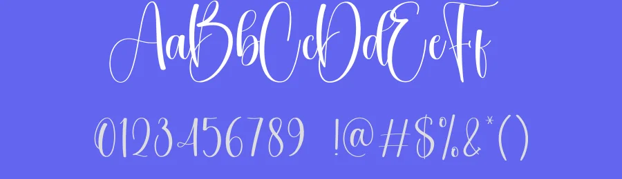 Navigate Calligraphy Font by creativeletter — Script Handwritten Font — thumbnail 3
