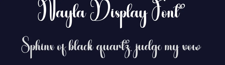 Nayla Display Font by andikastudio — Script Handwritten Font — thumbnail 2