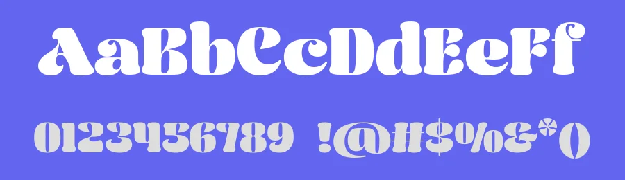 Naylira Font by mixjpg — Serif Font — thumbnail 3