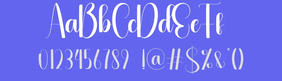 Neatness Script Font by andikastudio — Script Handwritten Font — thumbnail 3