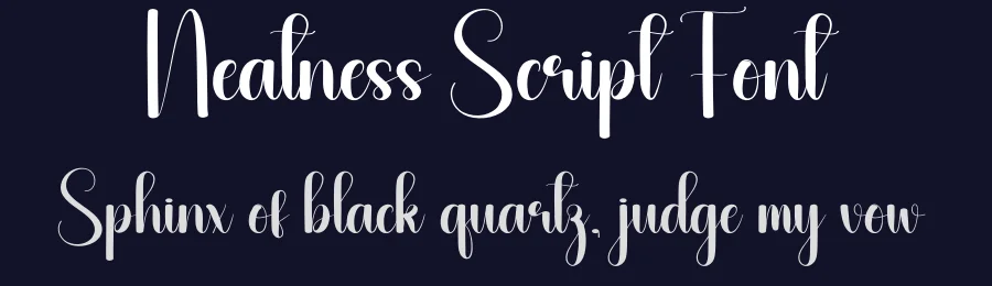 Neatness Script Font by andikastudio — Script Handwritten Font — thumbnail 2