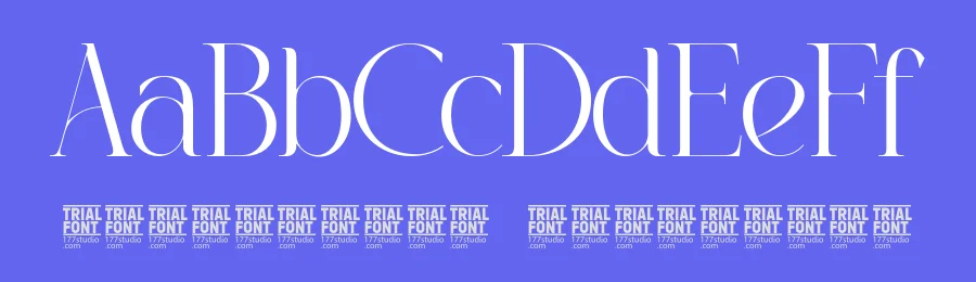 Necessary Language – Modern Serif Font by 177Studio — Display Font — thumbnail 3