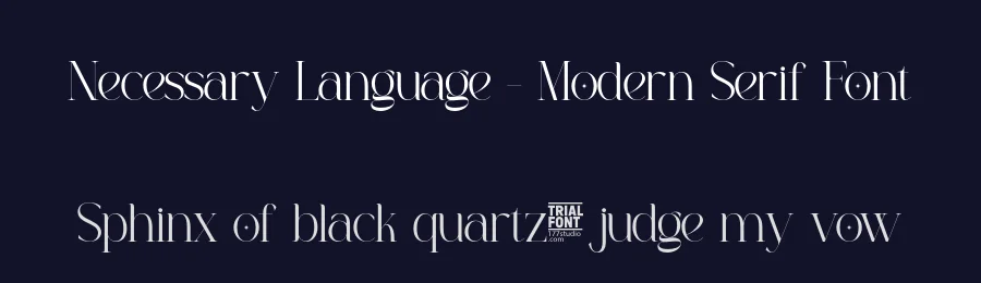Necessary Language – Modern Serif Font by 177Studio — Display Font — thumbnail 2