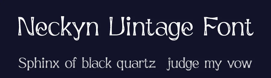 Neckyn Vintage Font by craftsupplyco — Sans Serif Font — thumbnail 2