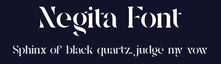 Negita Font by SlideShoot — Decorative Font — thumbnail 2