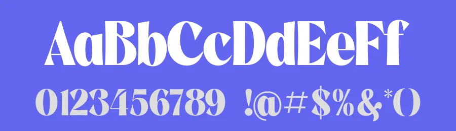 Negoka Sans Serif Font by Storytype — Serif Font — thumbnail 3