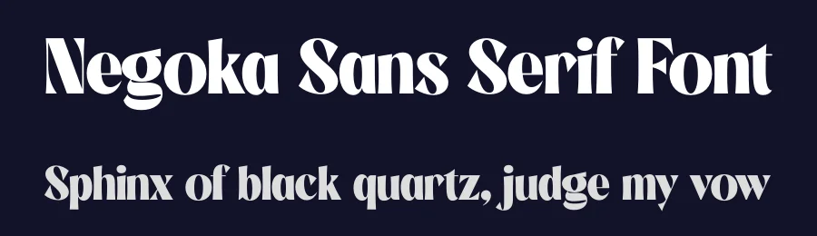 Negoka Sans Serif Font by Storytype — Serif Font — thumbnail 2